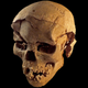 Image for article titled Discovery of Brutal Massacre Pushes Back History of Human Warfare